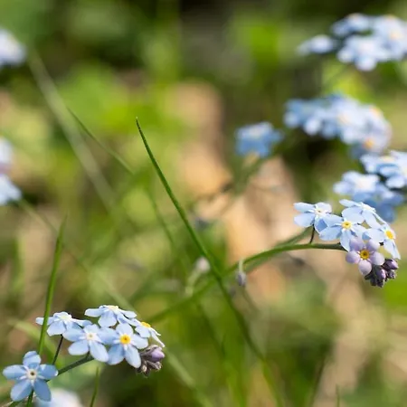 Chic Sauna Near The Sea - Mulin Nº05 펜션 Tsitre