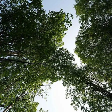 펜션 Chic Sauna Near The Sea - Mulin Nº05 Tsitre