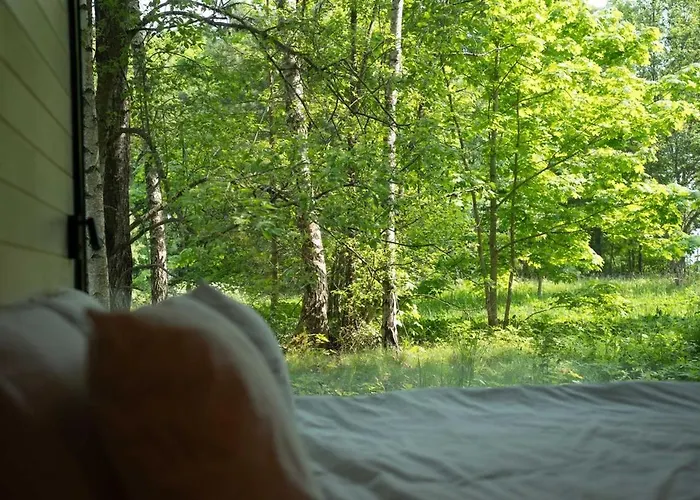 Chic Sauna Near The Sea - Mulin Nº05 *