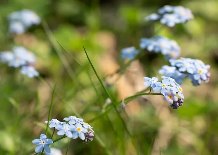 Chic Sauna Near The Sea - Mulin Nº05 Casa de Férias Tsitre