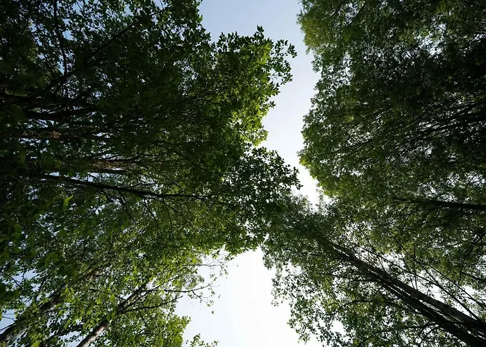 Casa de Férias Chic Sauna Near The Sea - Mulin Nº05 Tsitre