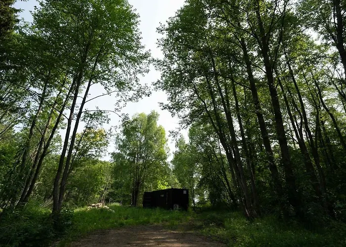 Chic Sauna Near The Sea - Mulin Nº05